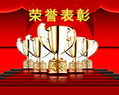 榮譽(yù)展示